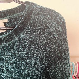Westbound Petites Teal Sweater